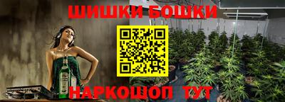прущие грибы Будённовск