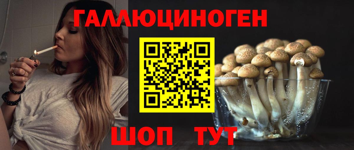Мытищи  Галлюциногенные грибы прущие грибы  Вход с VPN 